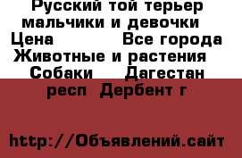 Русский той-терьер мальчики и девочки › Цена ­ 8 000 - Все города Животные и растения » Собаки   . Дагестан респ.,Дербент г.